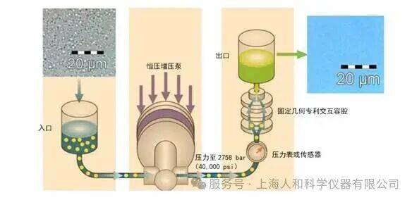 微信图片_20251220090058.jpg