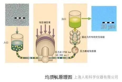 微信图片_20260124085806.jpg